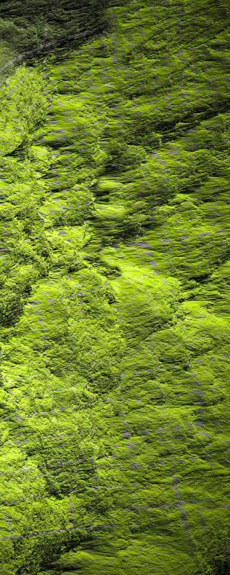 Diptych - Digital Clift - Green Forest Aerial View For Sale 1