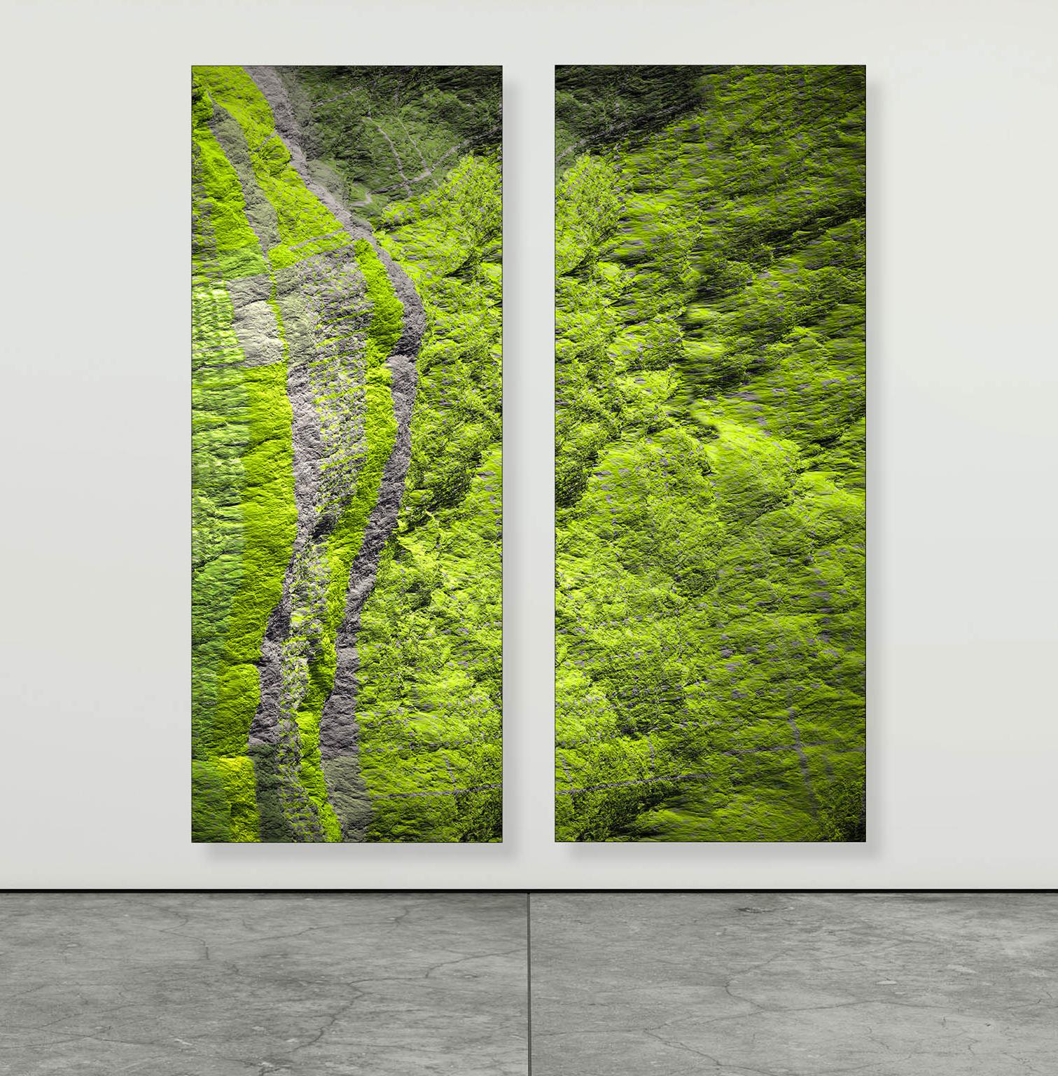 Paul-Émile Rioux Color Photograph - Diptych - Digital Clift - Green Forest Aerial View