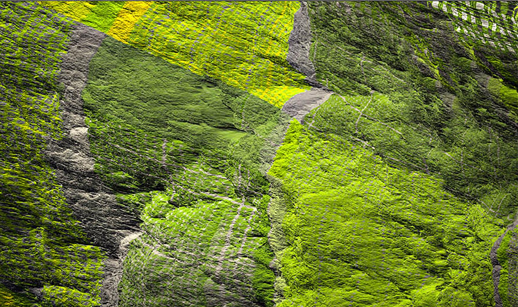Paul-Émile Rioux Color Photograph - Digital Clift - Green Forest Aerial View