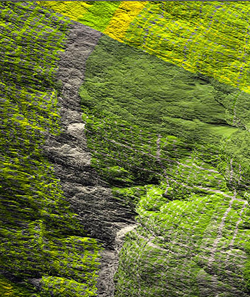 Digital Clift - Green Forest Aerial View - Brown Color Photograph by Paul-Émile Rioux