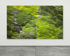 Digital Clift - Green Forest Aerial View