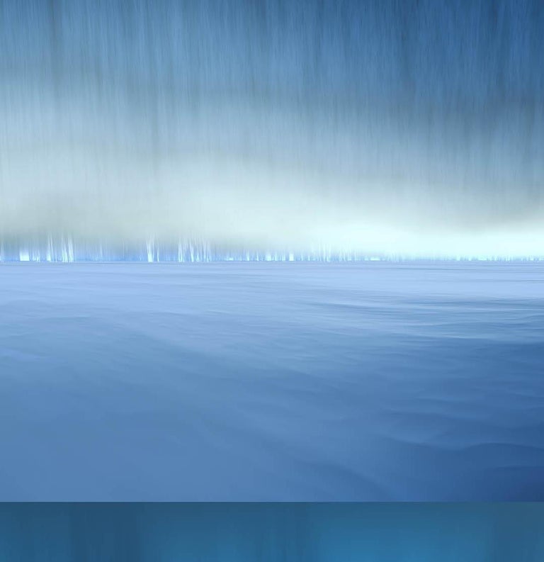 Paul-Émile Rioux - Vision of an Underwater World in Nuances of Grey and ...