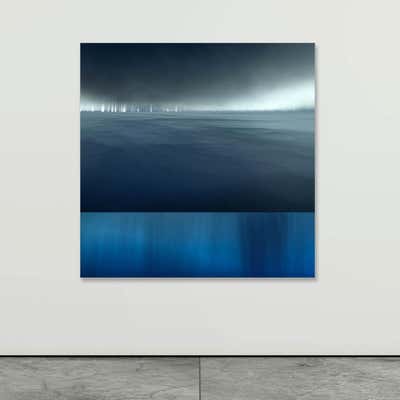 Paul-Émile Rioux - Vision of an Underwater World in Nuances of Grey and ...