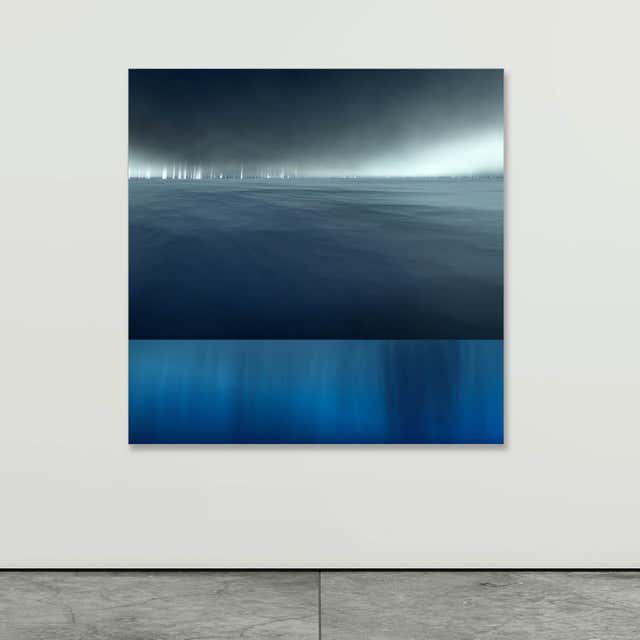 Paul-Émile Rioux - Vision of an Underwater World in Nuances of Grey and ...