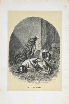 Farm Dogs  - Original Lithograph by Paul Gervais - 1854