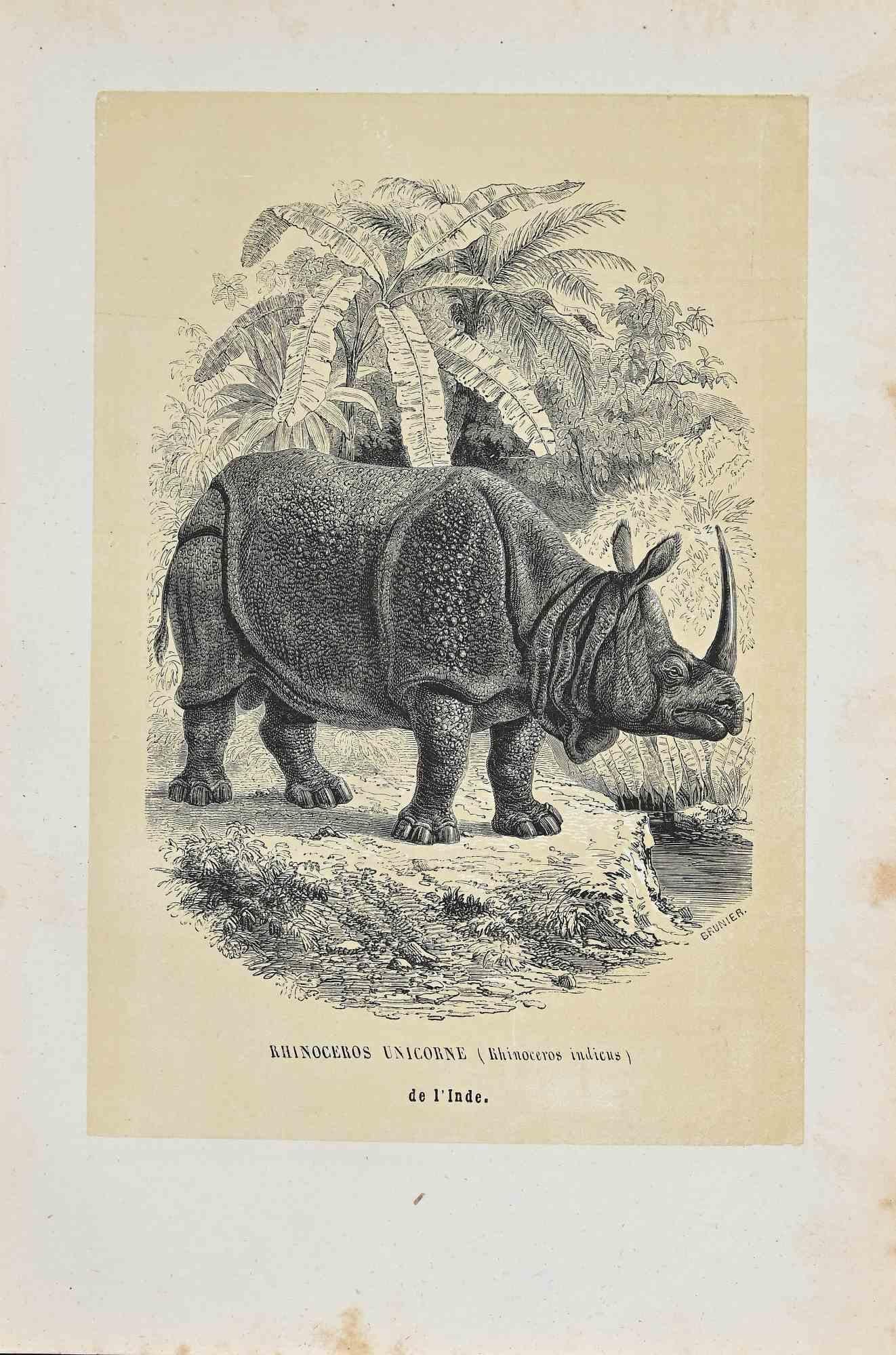 Hippopotamus Licorne est une lithographie originale avec pochoir sur papier couleur ivoire, réalisée par Paul Gervais (1816-1879). L'œuvre est tirée de la série "Les Trois Règnes de la Nature", et a été publiée en 1854.

Bonnes conditions.

Titré