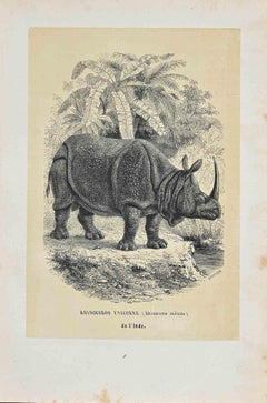 Antique Hippopotamus Unicorn  - Original Lithograph by Paul Gervais - 1854