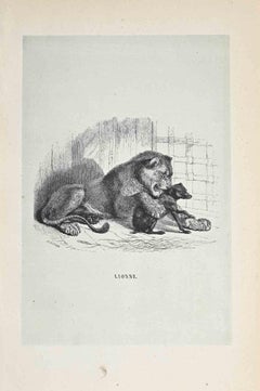 Antique The Lion - Original Lithograph by Paul Gervais - 1854