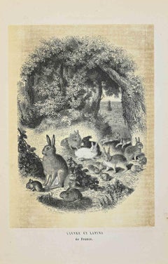 The Rabbits - Original Lithograph by Paul Gervais - 1854