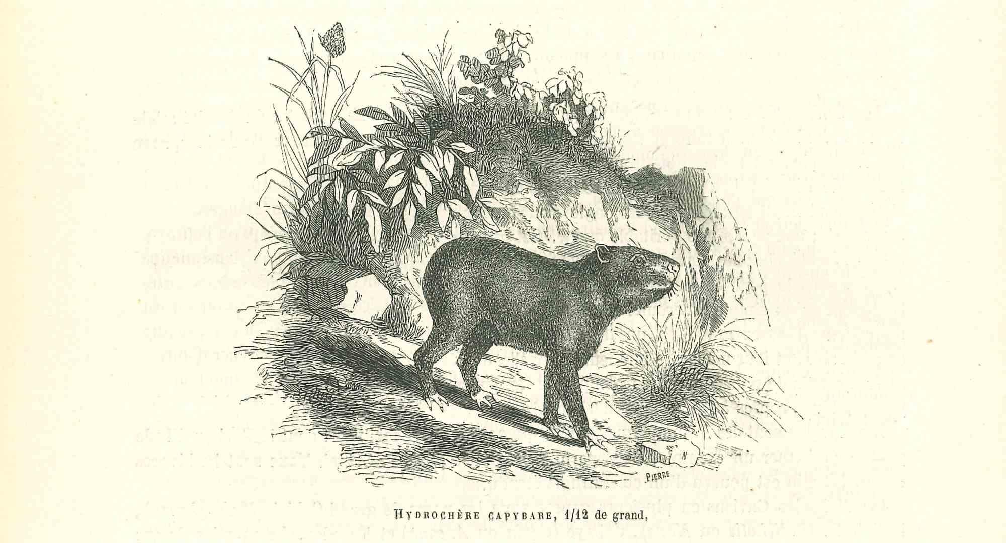 hydrochere