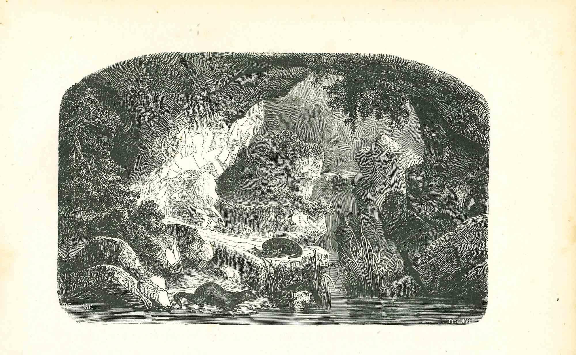 En el bosque cerca de la cascada es una litografía original sobre papel color marfil, realizada por Paul Gervais (1816-1879). La obra pertenece a la serie de "Les Trois Règnes de la Nature", y fue publicada en 1854.

Buenas condiciones.

Titulado en