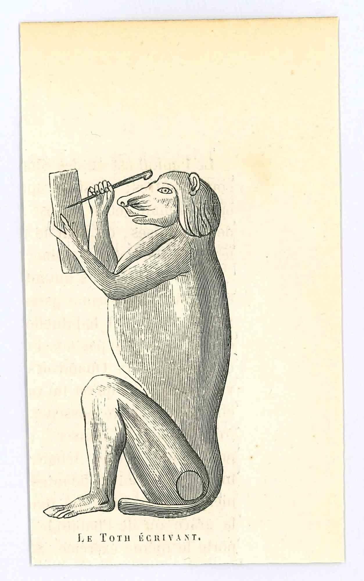 Die Gravur Le Toth ist eine Originallithografie auf elfenbeinfarbenem Papier, die von Paul Gervais (1816-1879) realisiert wurde. Das Kunstwerk stammt aus der Serie "Les Trois Règnes de la Nature" und wurde 1854 veröffentlicht.

Gute