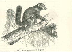 Lpilmur Mustlin – Originallithographie von Paul Gervais, 1854