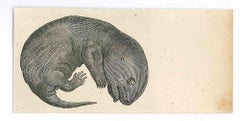 Dormire - Litografia originale di Paul Gervais - 1854