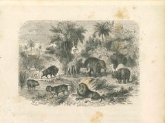 Antique The Animals in Jungle - Lithograph by Paul Gervais - 1854