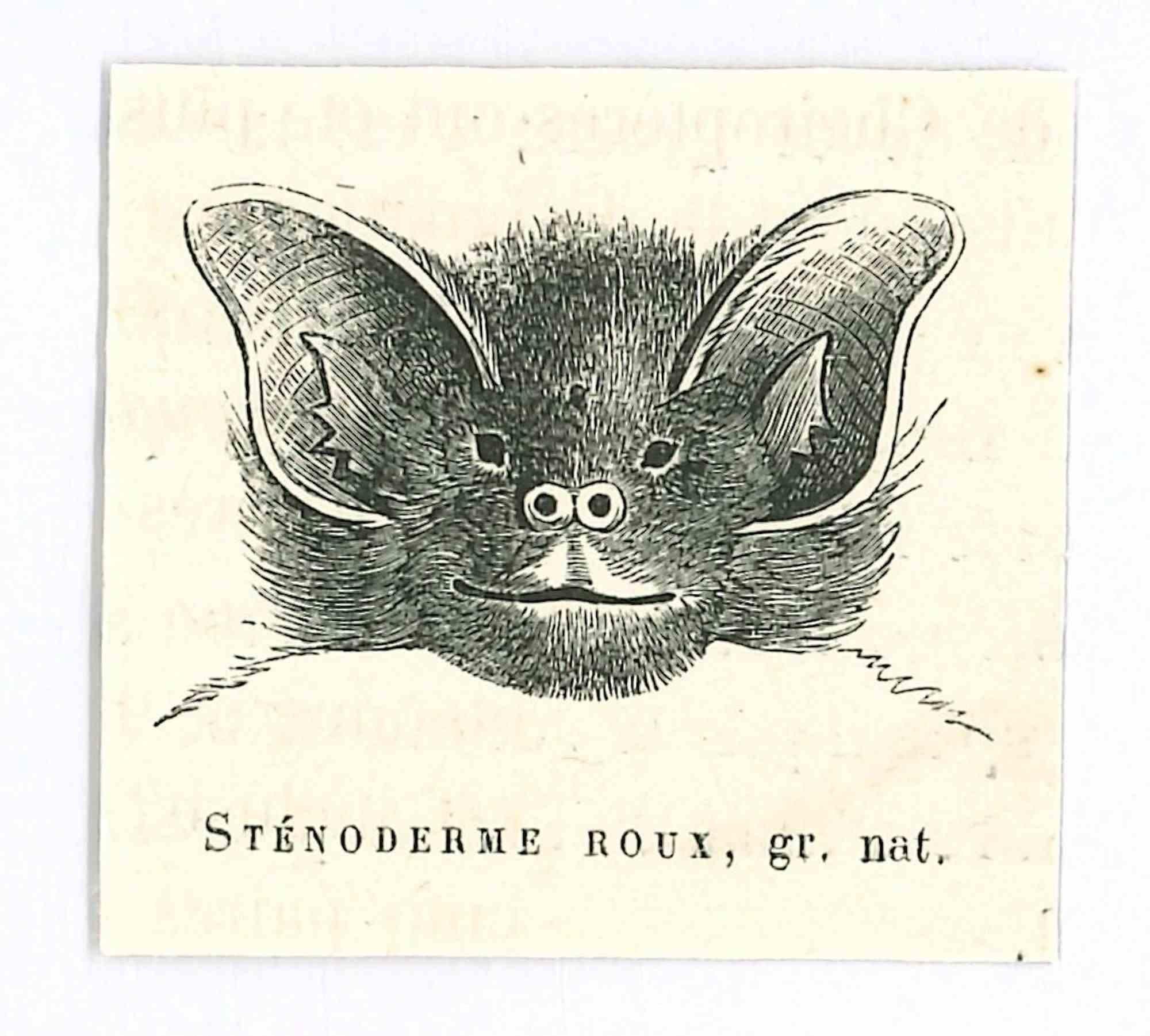 bat lithograph