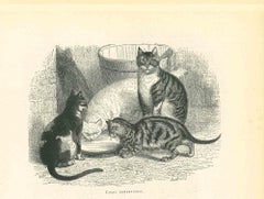 Antique The Cats and Kitty - Original Lithograph by Paul Gervais - 1854