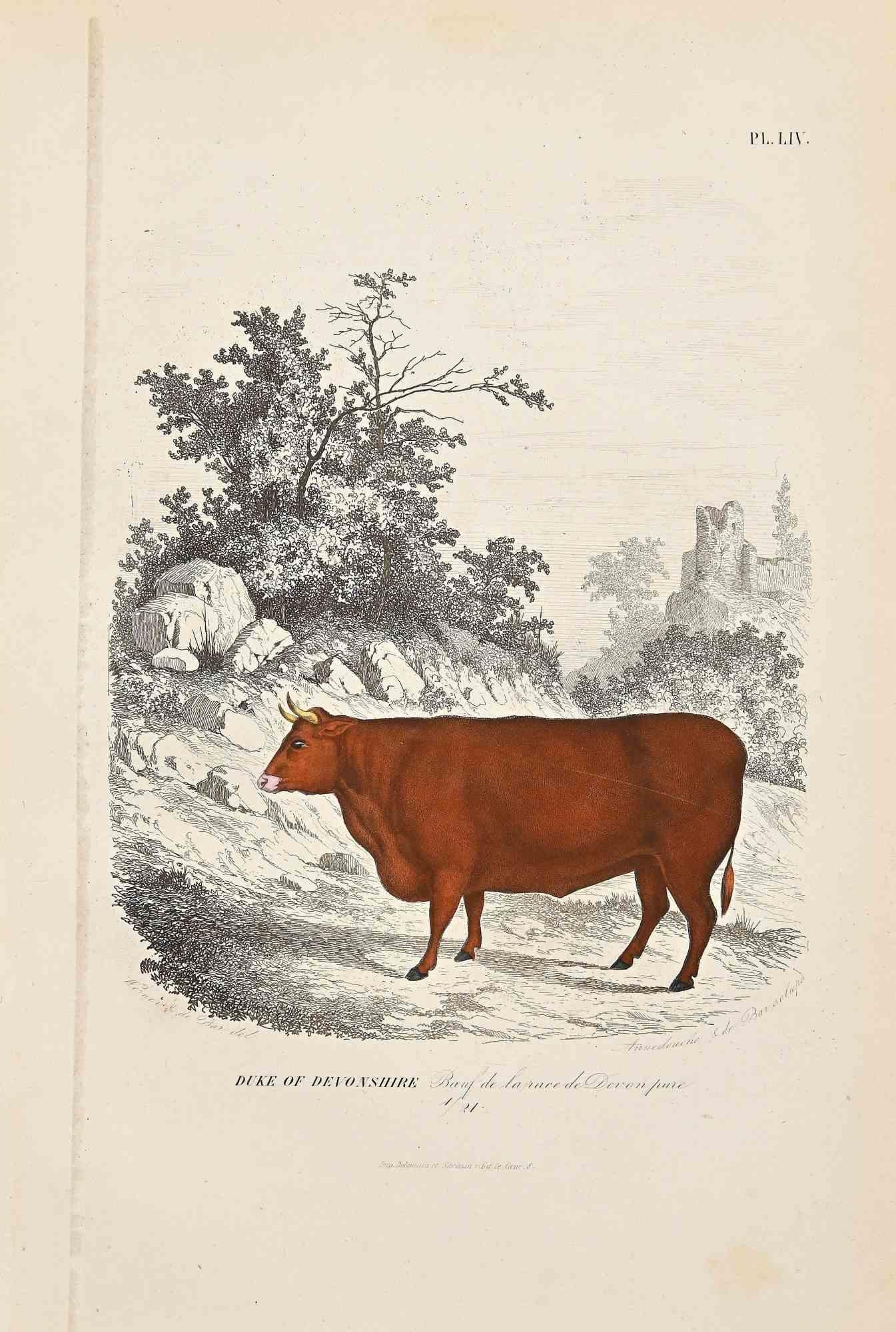 renaissance cow painting