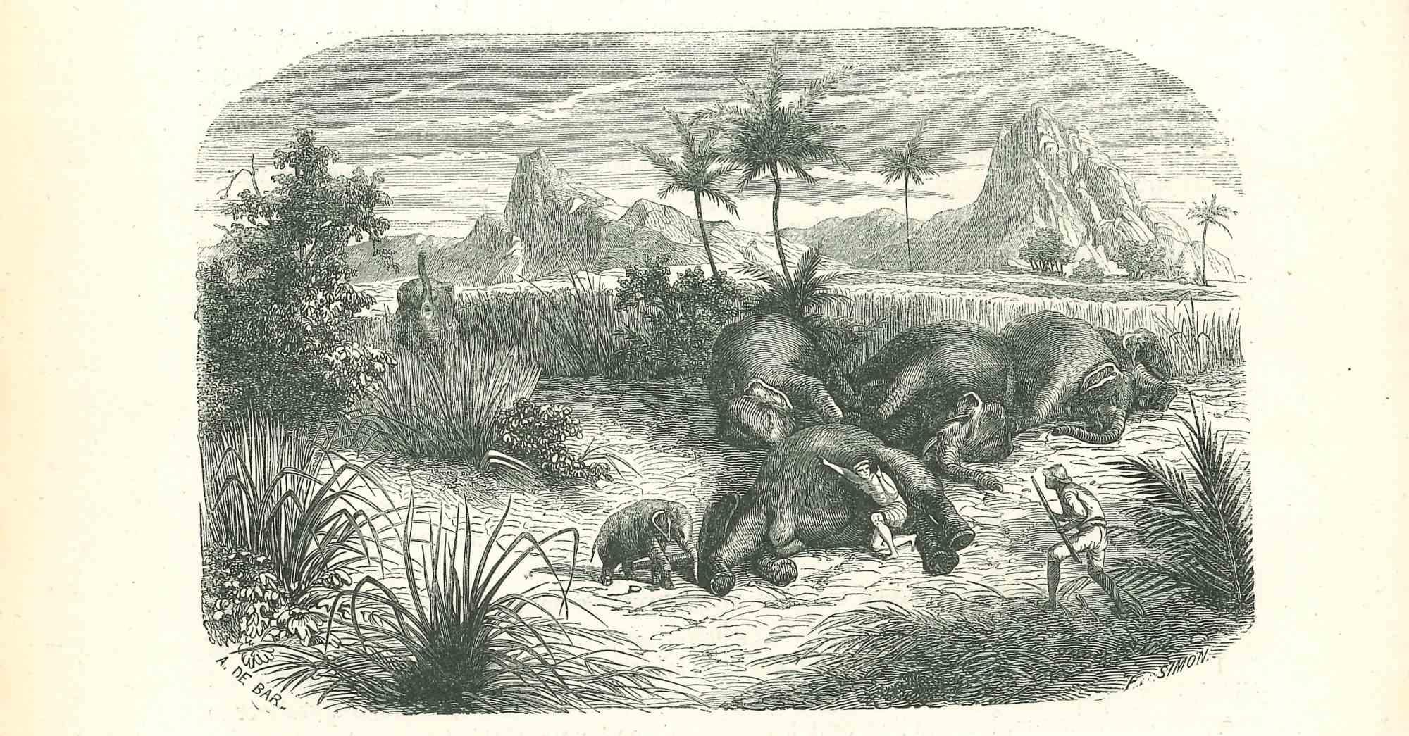 The Dead Elephants is an original lithograph on ivory-colored paper, realized by Paul Gervais (1816-1879). The artwork is from The Series of "Les Trois Règnes de la Nature", and was published in 1854.

Good conditions.

Titled on the lower.

The