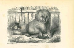 Antique The Dog - Original Lithograph by Paul Gervais - 1854