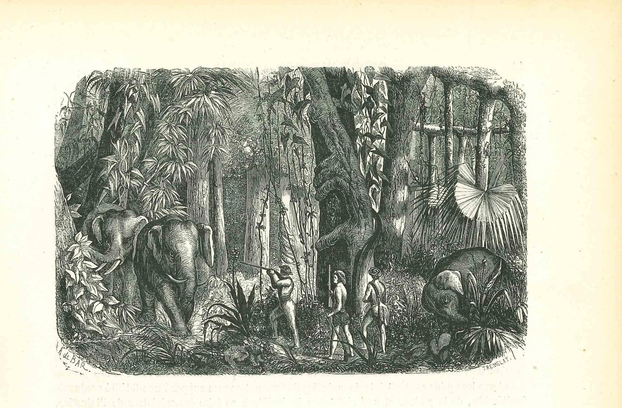 The Elephant Hunters is an original lithograph on ivory-colored paper, realized by Paul Gervais (1816-1879). The artwork is from The Series of "Les Trois Règnes de la Nature", and was published in 1854.

Good conditions.

With the notes on the