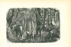 Antique The Elephant Hunters - Original Lithograph by Paul Gervais - 1854