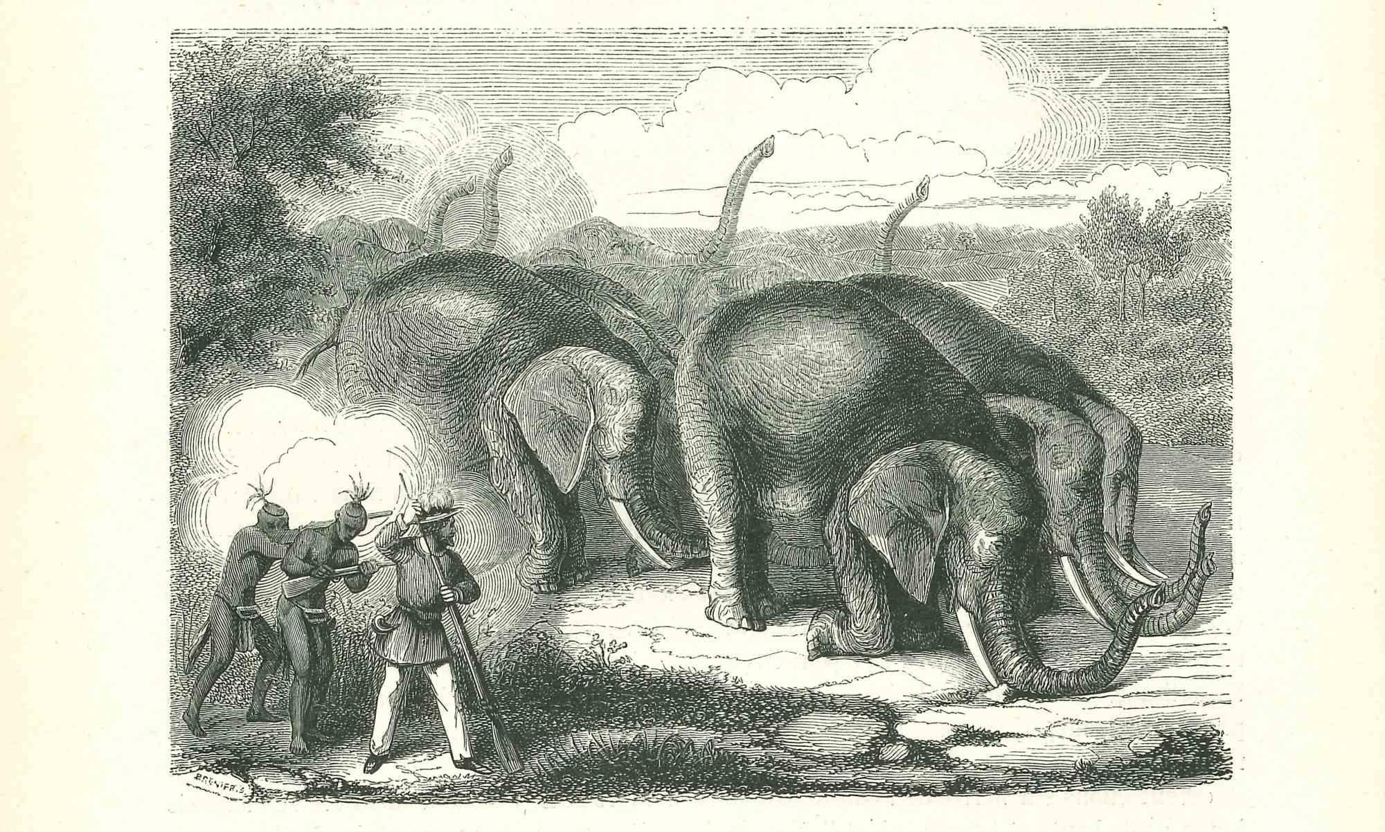 Die Elefantenjagd ist eine Originallithografie auf elfenbeinfarbenem Papier, die von Paul Gervais (1816-1879) geschaffen wurde. Das Kunstwerk stammt aus der Serie "Les Trois Règnes de la Nature" und wurde 1854 veröffentlicht.

Gute Bedingungen.

Auf