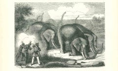 Antique The Elephant Hunting - Original Lithograph by Paul Gervais - 1854
