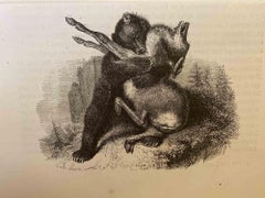 Paul Gervais - The Hunting Bear - Original Lithograph by Paul Gervais - 1854 The Hunting Bear - Original Lithograph by Paul Gervais - 1854