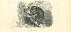 The Orangutan - Original Lithograph by Paul Gervais - 1854