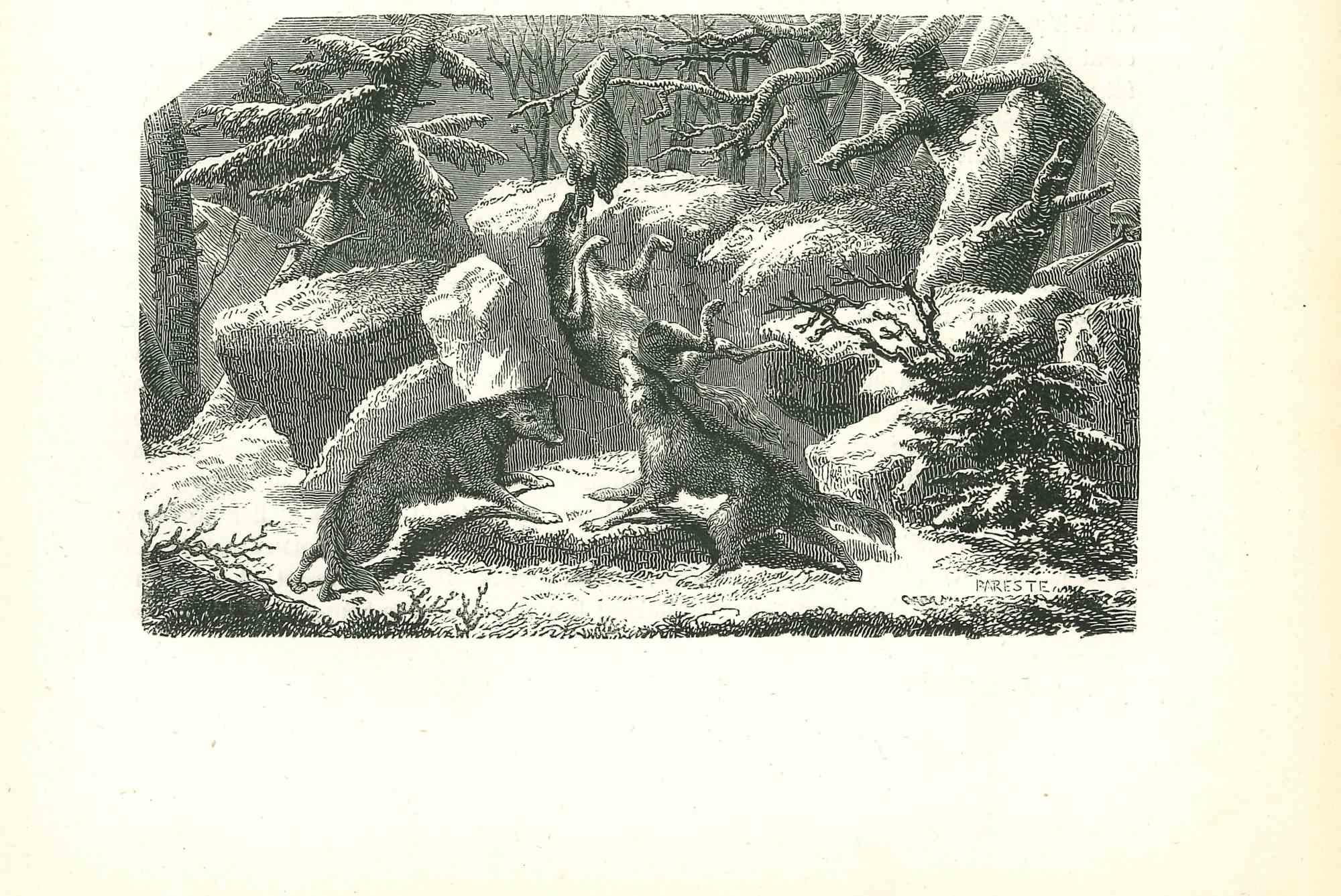 The Wolves In The Winter is an original lithograph on ivory-colored paper, realized by Paul Gervais (1816-1879). The artwork is from The Series of "Les Trois Règnes de la Nature", and was published in 1854.

Good conditions.

Titled on the lower.