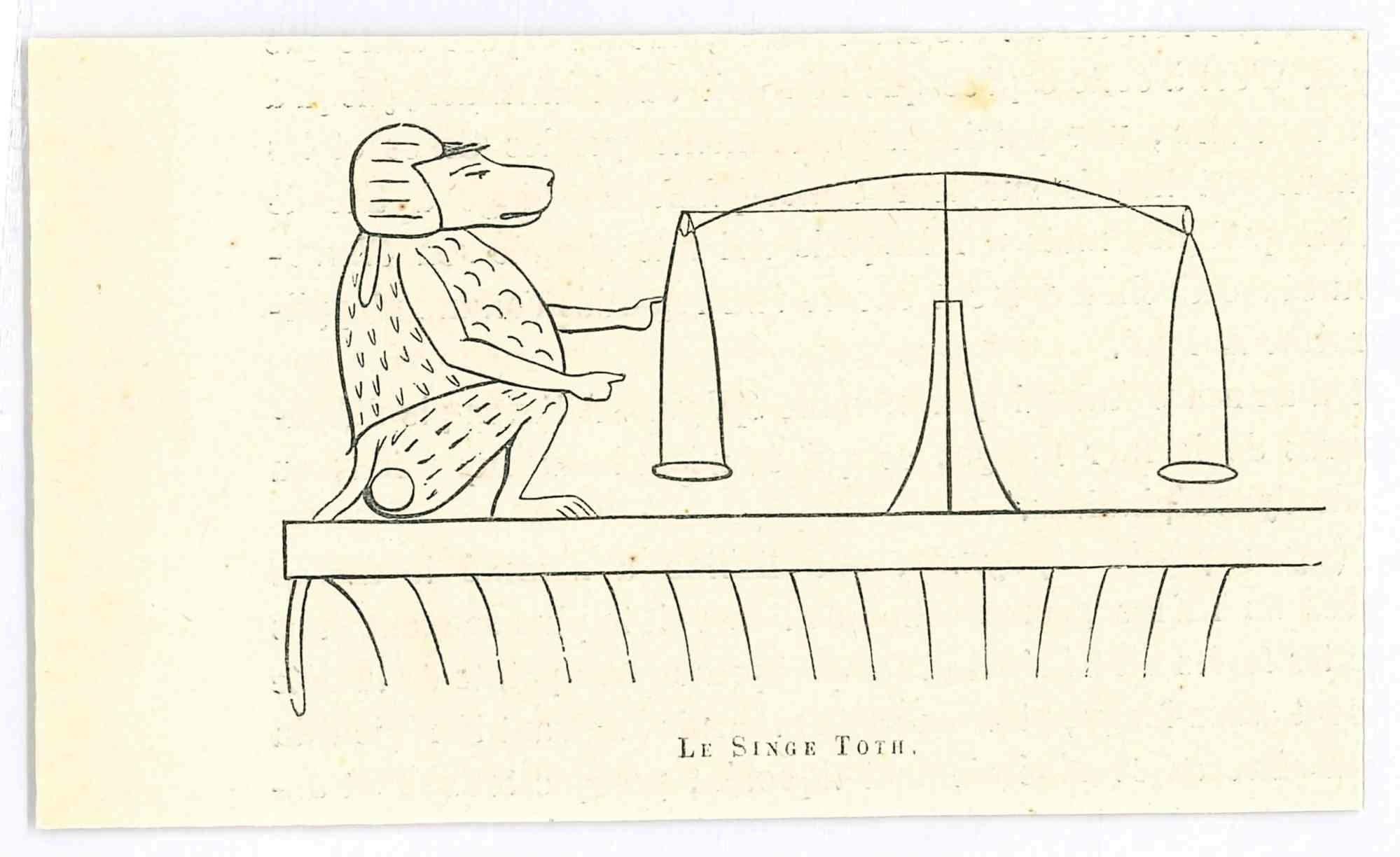 Thot è una litografia originale su carta color avorio, realizzata da Paul Gervais (1816-1879). L'opera è tratta dalla serie "Les Trois Règnes de la Nature" ed è stata pubblicata nel 1854.

Buone condizioni.

Titolato in basso. Con le note sul