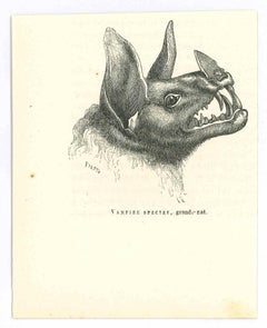 Spécère du Vampire - Lithographie originale de Paul Gervais - 1854