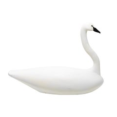 Paul Gibson Swan Decoy