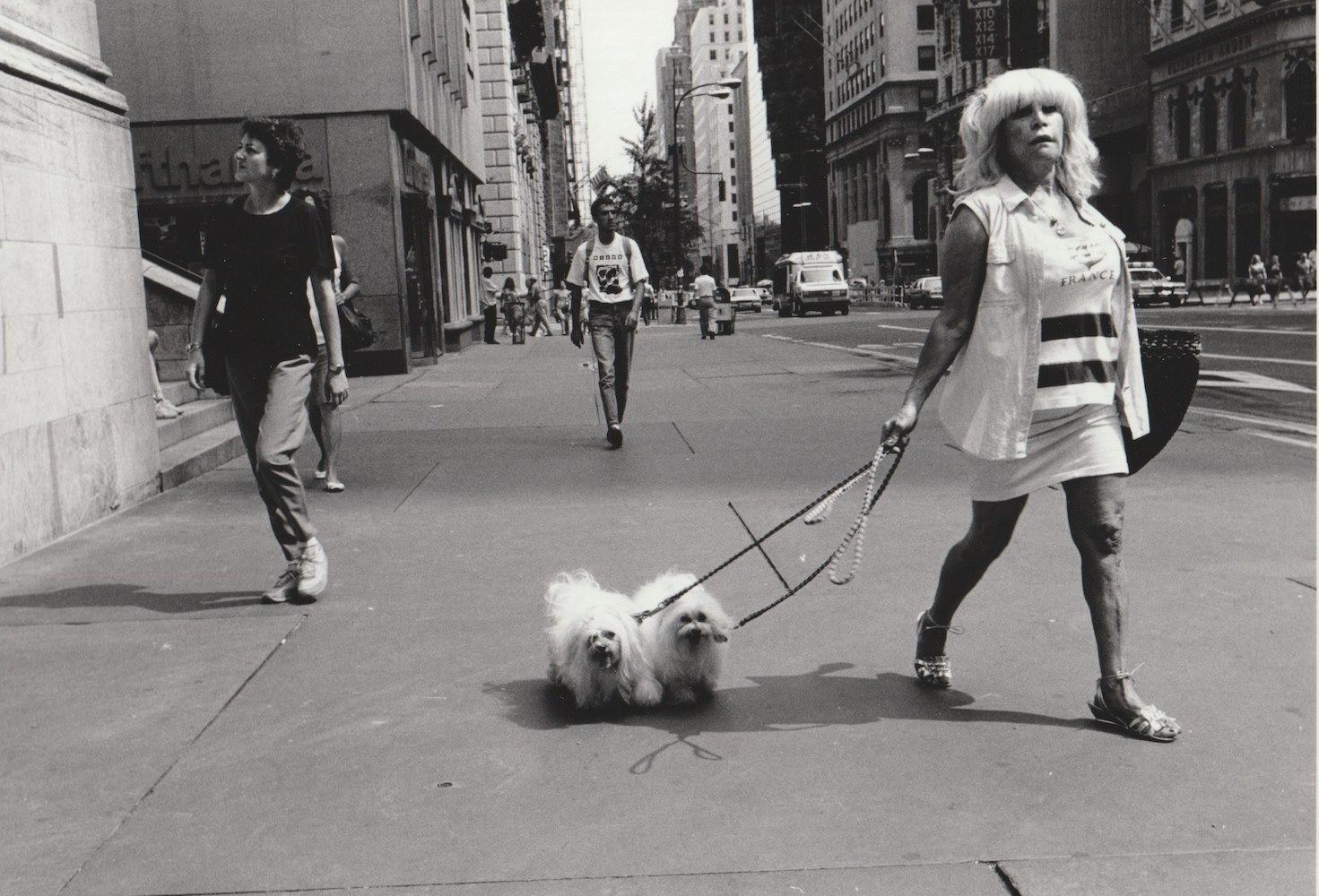 Dog Walker, New York City