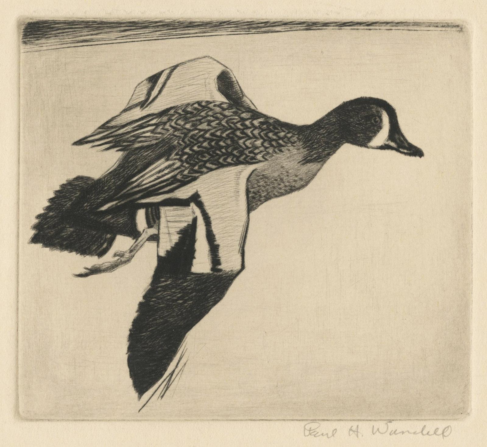Paul H. Winchell Animal Print – Blauer Flügel 
