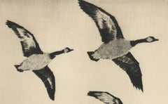 Oiseaux canadiens en vol