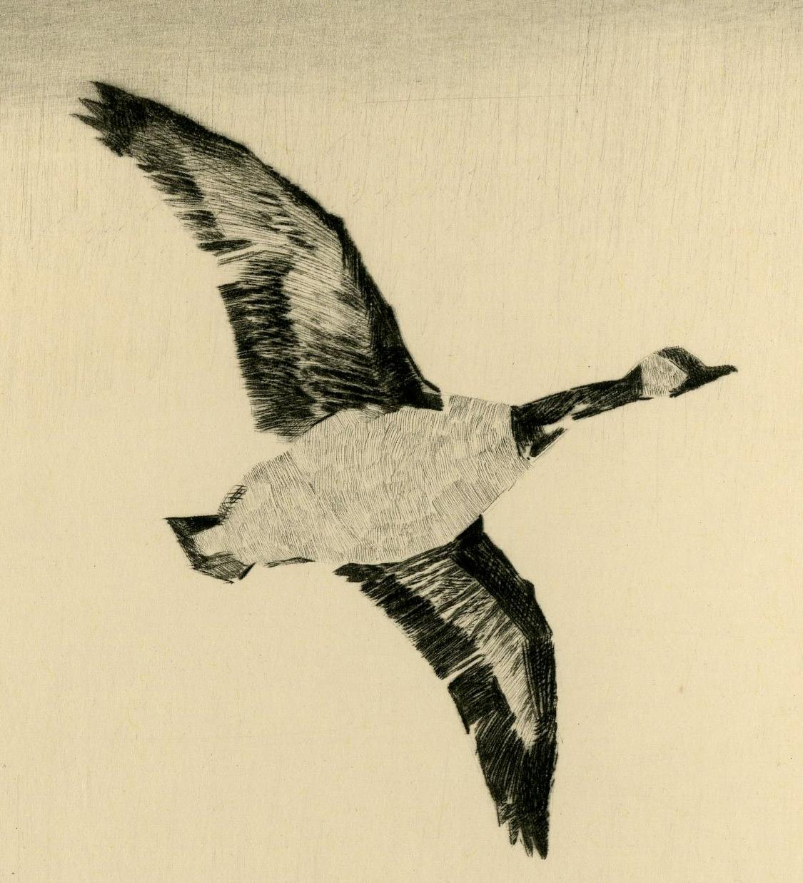 Canadian Geese in Flight - American Realist Print by Paul H. Winchell