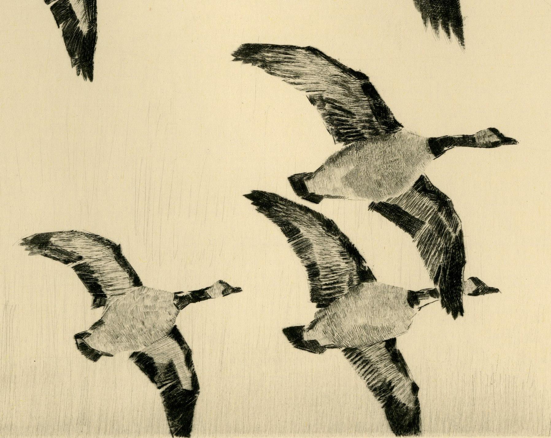 Canadian Geese in Flight    
Drypoint printed with plate tone in the sky
c. 1940's
Signed in pencil lower right
Condition: Excellent
Image/Plate size: 8 3/8 x 10 1/4 inches
Provenance: Estate of the Artist
                      Bt descent to the