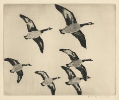 Vintage Canadian Geese in Flight