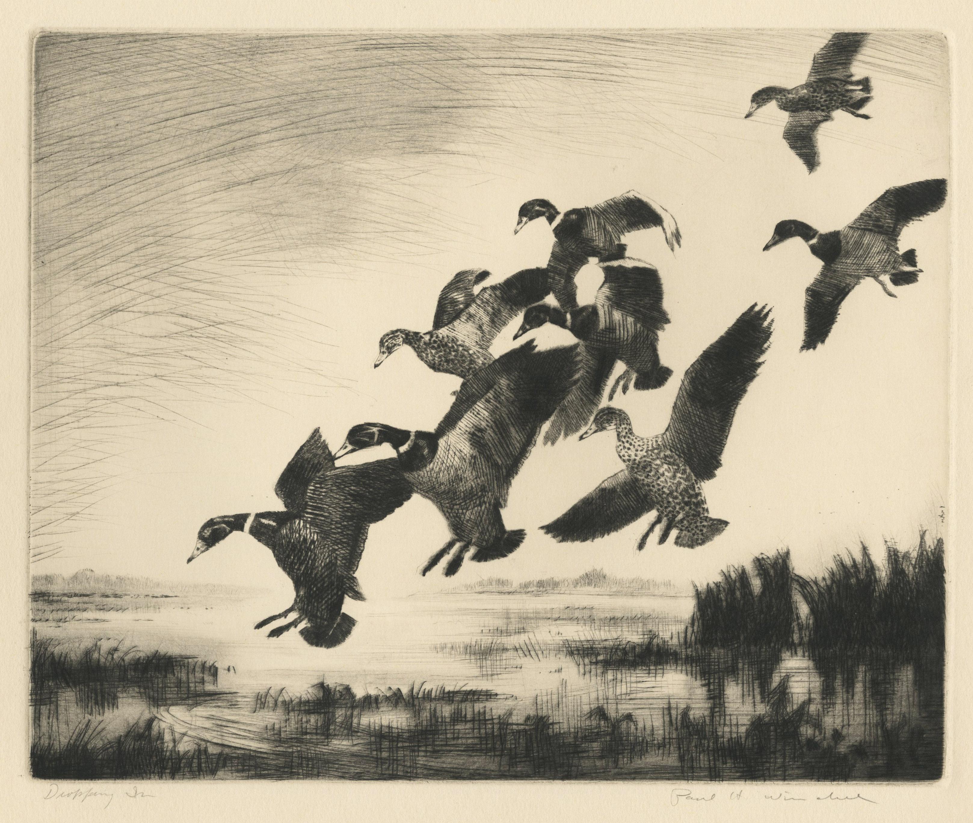 Paul H. Winchell Animal Print – Hereinspaziert