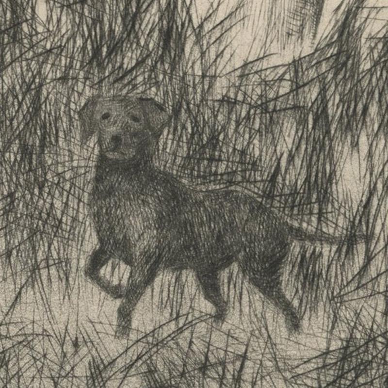 untitled (Duck taking to flight, flushed by a dog) - Print by Paul H. Winchell