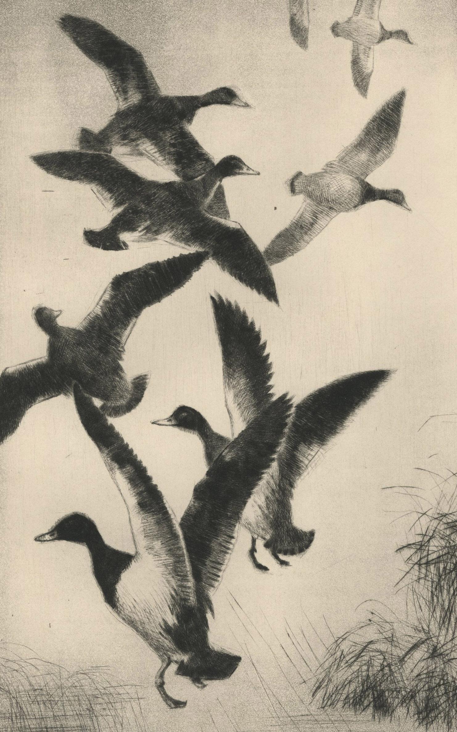 Sans titre (Duck taking to flight, cannelé par un chien) - Beige Animal Print par Paul H. Winchell