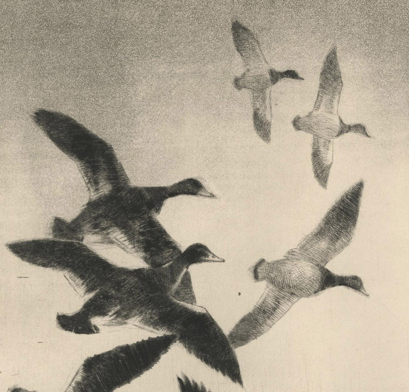 untitled (Duck taking to flight, flushed by a dog)
Drypoint & Aquatint, c. 1940
signed lower right
Created while the artist was a commercial artist working in Minneapolis, after his tenure of being an instructor at the Minneapolis Institute of Art