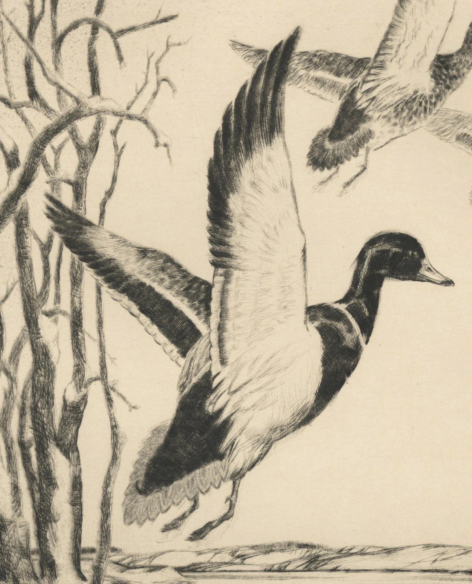 Ohne Titel (Drei Enten auf dem Weg zum Flug) – Print von Paul H. Winchell