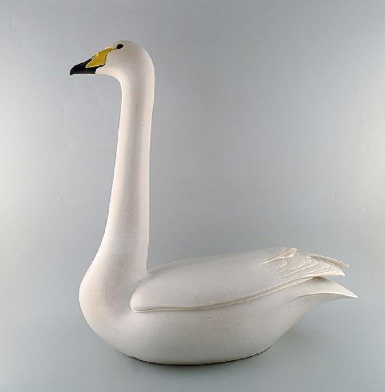 collosal swan