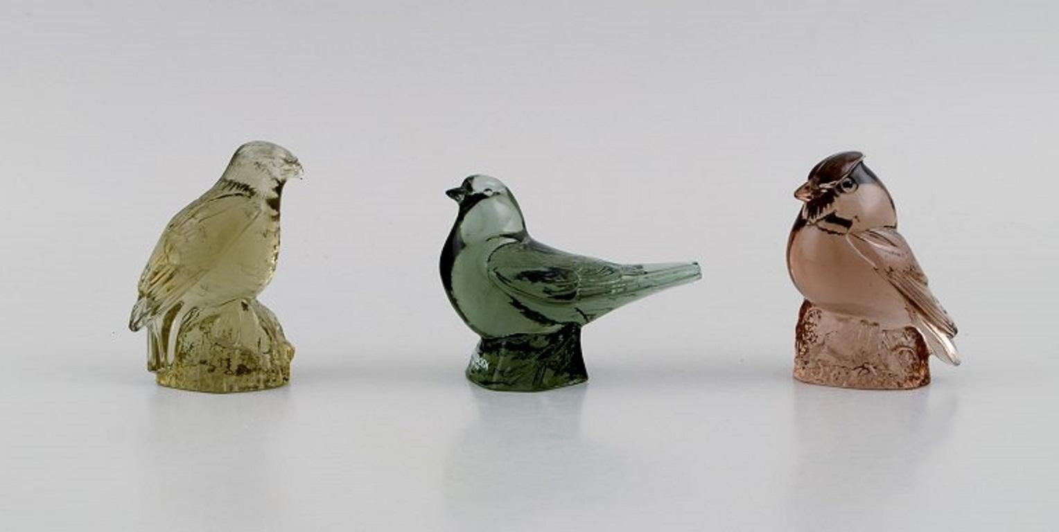 Scandinavian Modern Paul Hoff for Swedish Glass, 9 Birds in Art Glass, WWF, Mid 20th Century
