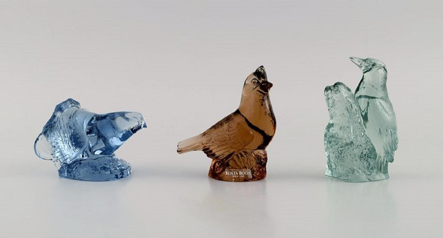 Paul Hoff for Swedish Glass, 9 Birds in Art Glass, WWF, Mid 20th Century In Excellent Condition In Copenhagen, DK