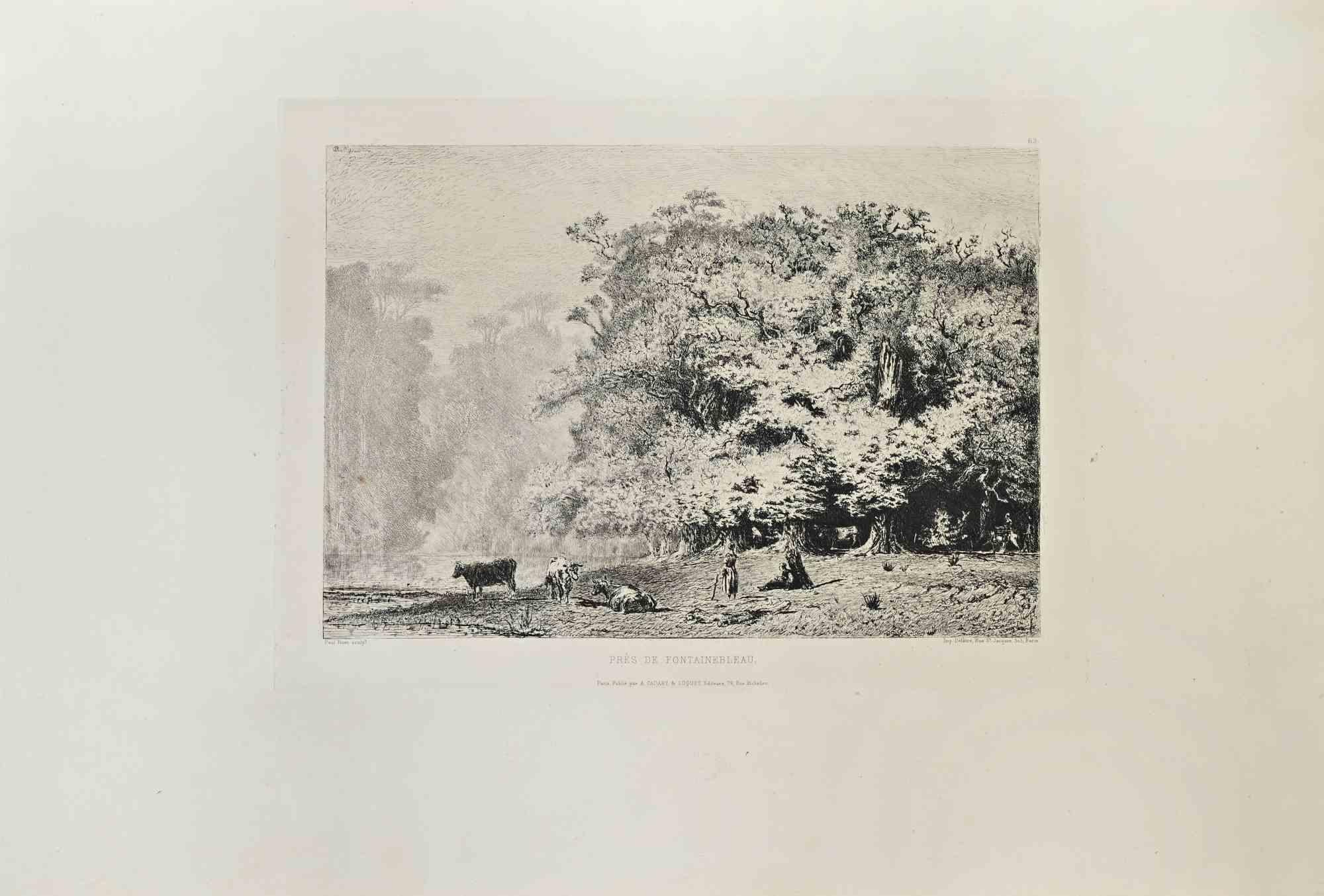 Près de Fontainebleau is a black and white etching realized by Paul Huet (1803 –1869) in 1870s.

Titled in the lower.

Image size: 28cmx19.5cm.

Very Good condition.

Signed on the upper right.

Realized by Cadart for the "Société des Aquafortistes.