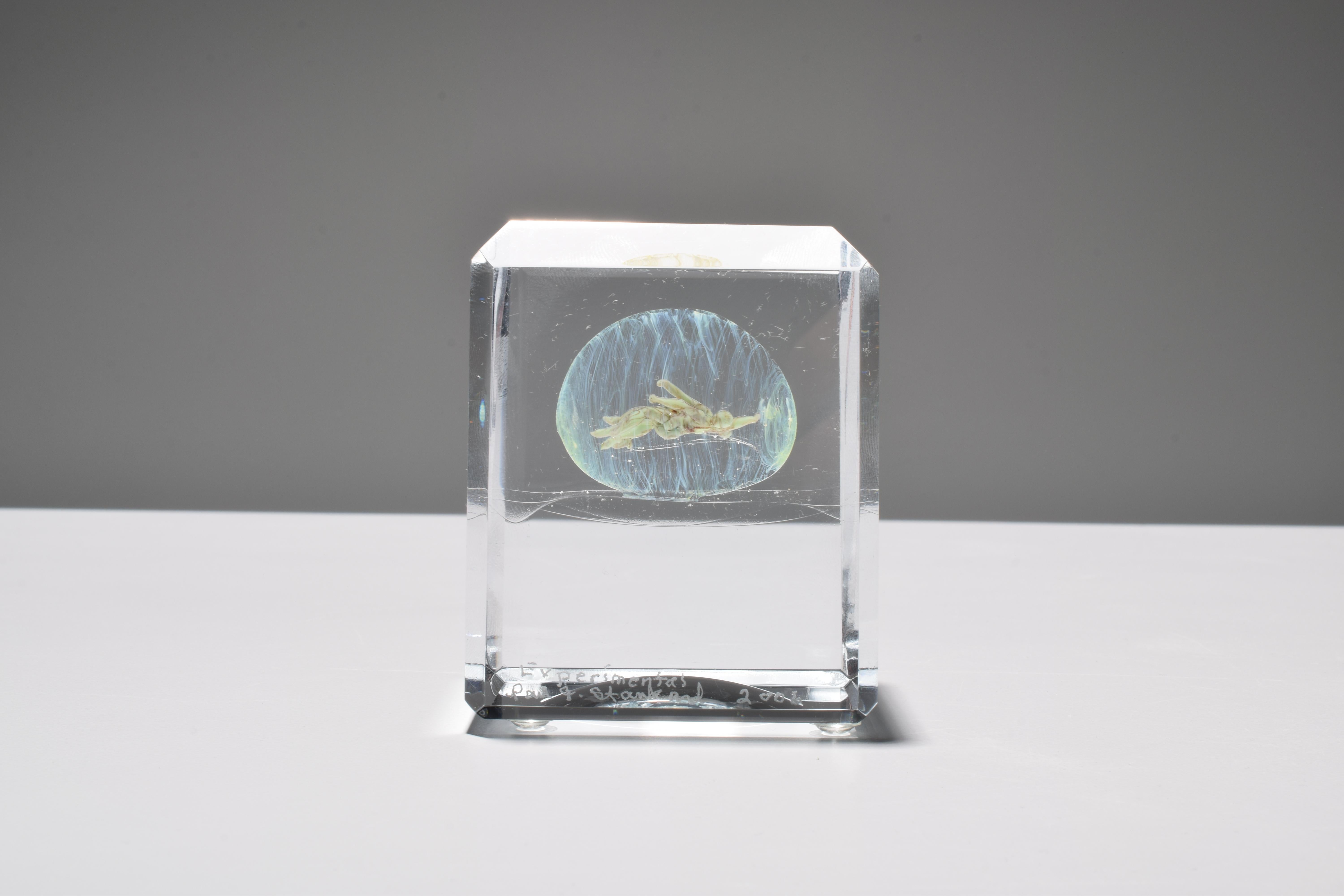 Glass Paul J. Stankard “Experimental” Paperweight For Sale